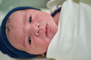 供卵代孕服务:11个月宝宝发育标准